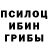 Псилоцибиновые грибы Psilocybe FCND