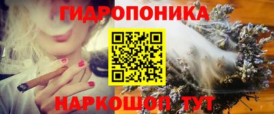 ECSTASY Камышлов