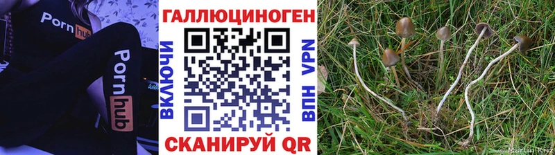 Галлюциногенные грибы мицелий  Пятигорск 