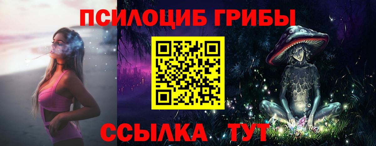 Псилоцибиновые грибы Cubensis  Галлюциногенные грибы мицелий  Пятигорск 